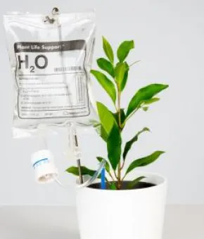 Bevattningssystem - Plant Life Support