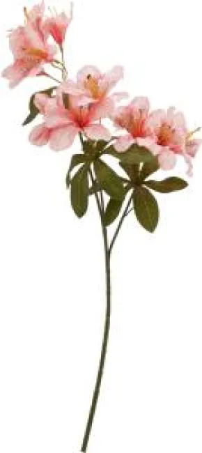 Konstväxt blomkvist - Rosa