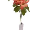 Konstväxt blomkvist - Rost