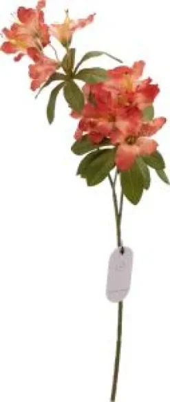 Konstväxt blomkvist - Rost