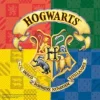 Servetter i 20-pack - Harry Potter