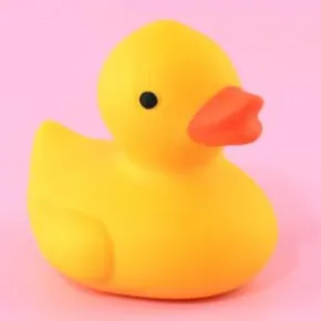 Squeeze Duck