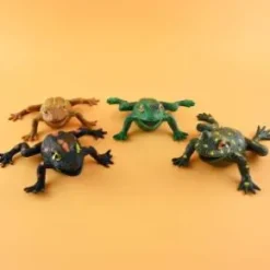 Stretchig groda