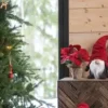 Tomte