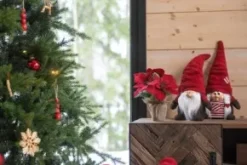 Tomte