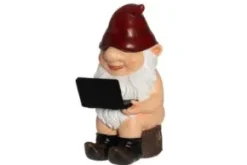Trädgårdstomte med laptop